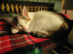2011_1222_0144.jpg