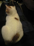 2011_1226_0531.jpg