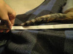 2011_1226_0533.jpg