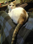 2011_1226_0534.jpg