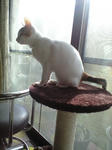 2011_1228_1012.jpg