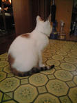 2011_1229_0751.jpg