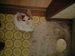 2011_1229_0753.jpg
