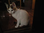 2011_1229_0805.jpg