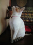 2011_1229_0828_2.jpg