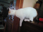 2011_1229_0832.jpg