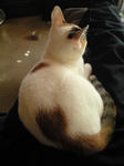 2011_1229_1049.jpg