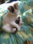 2011_1229_1219_2.jpg