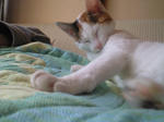 2011_1229_1302.jpg