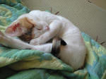 2011_1229_1303.jpg