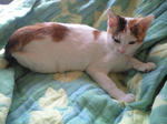 2011_1229_1326.jpg