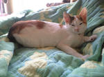 2011_1229_1327.jpg