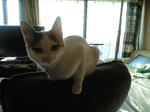 2012_0111_1141.jpg