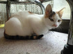 2012_0111_1144.jpg