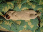 2012_0111_2234.jpg