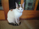 2012_0115_0944.jpg