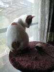 2012_0115_0948_1.jpg