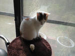 2012_0115_0948_2.jpg