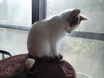 2012_0115_0948_3.jpg
