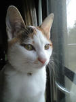 2012_0115_0950.jpg