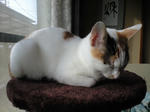 2012_0115_0957.jpg