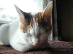 2012_0115_0958.jpg