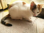 2012_0115_1055.jpg