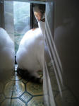 2012_0115_1057.jpg