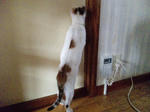 2012_0115_1234.jpg