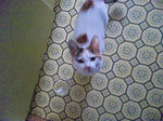 2012_0115_1242.jpg