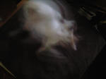 2011_1113_0941.jpg