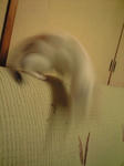 2011_1118_2000.jpg