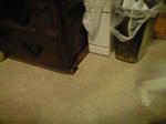 2011_1125_2349.jpg