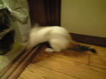 2011_1125_2350.jpg