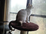 2012_0121_0955.jpg