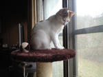 2012_0121_0956_1.jpg