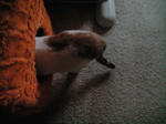 2012_0121_1000.jpg