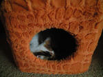 2012_0121_1007.jpg