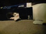 2012_0122_1844.jpg
