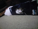 2012_0122_1919.jpg