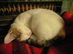 2012_0123_0238.jpg