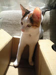 2012_0204_1215_2.jpg