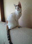 2012_0204_1216_1.jpg