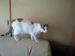 2012_0204_1216_2.jpg