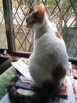 2012_0205_1338.jpg
