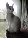 2012_0206_1235.jpg