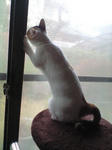 2012_0207_0858_1.jpg