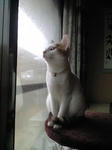 2012_0207_0858_2.jpg