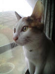2012_0207_0858_3.jpg