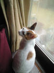 2012_0207_0900.jpg